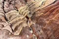 Streambed before slot canyon