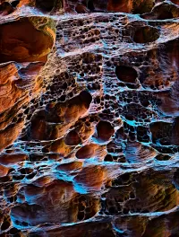 CF005192-95_qs_CapReefSwissCheese11_CapReef_small_1457x1920_U_20_Long-Edge