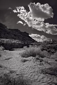 SideOfTheRoad_VIR7384_ss_1281x1920_U_20_Long-Edge