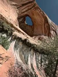 bowtie_R4_0835_ss_1440x1920_U_20_Long-Edge