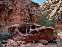 capReef_R4_0609_ss_1920x1440_U_20_Long-Edge