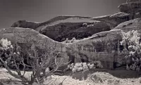 landscapeArch_VIR7505_ss_1920x1159_U_20_Long-Edge