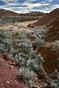 professorValeyHillside_R4_0749_ss_1280x1920_U_20_Long-Edge