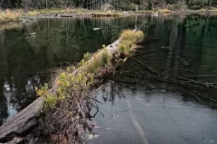 hiddenLake_DSC7837_2000x1334_H_20_G2_LessQualityWGrain