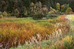 pond_Leavenworth_DSC7867_2000x1334_H_20_G2_LessQualityWGrain