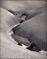 1353_SinuousHillside_fb