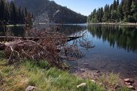 LouieLk_McCall_R4_0977