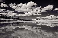 coloradoRiverBank_VIR7418