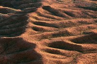 hillside_DSC7753