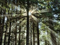 sunbeams_MtwalkerViewpoint_R4_1235