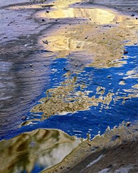 125-Reflections-on-a-rivulet