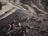 148-Like-on-the-moon