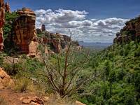 207-The-view-towards-Bell-Rock