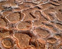 216-Hieroglyphs-to-decipher