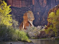 71-The-lectern-above-the-Virgin