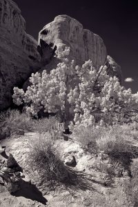 archesScenery_VIR7490