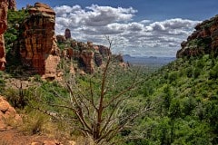 207-The-view-towards-Bell-Rock