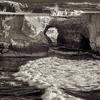 ptArena_arch_VIR4005_2560_