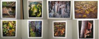 The other images displayed