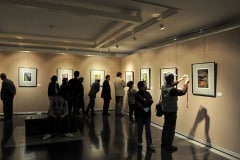 My section of the gallery