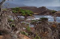 221-Standing-against-the-storm