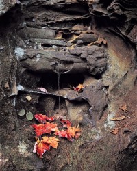 24-Spiderweb-waterfall-