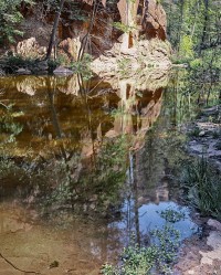 50-A-world-of-reflections