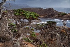 221-Standing-against-the-storm