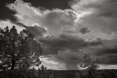 VIR5432_MogollonRim_small_1920x1281_U_20_Original-ratio