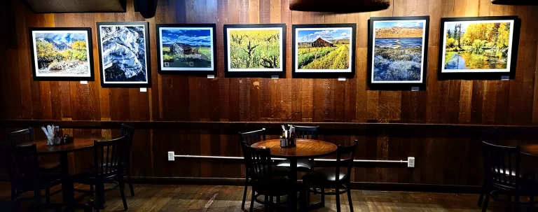 My Redwood Cafe Show