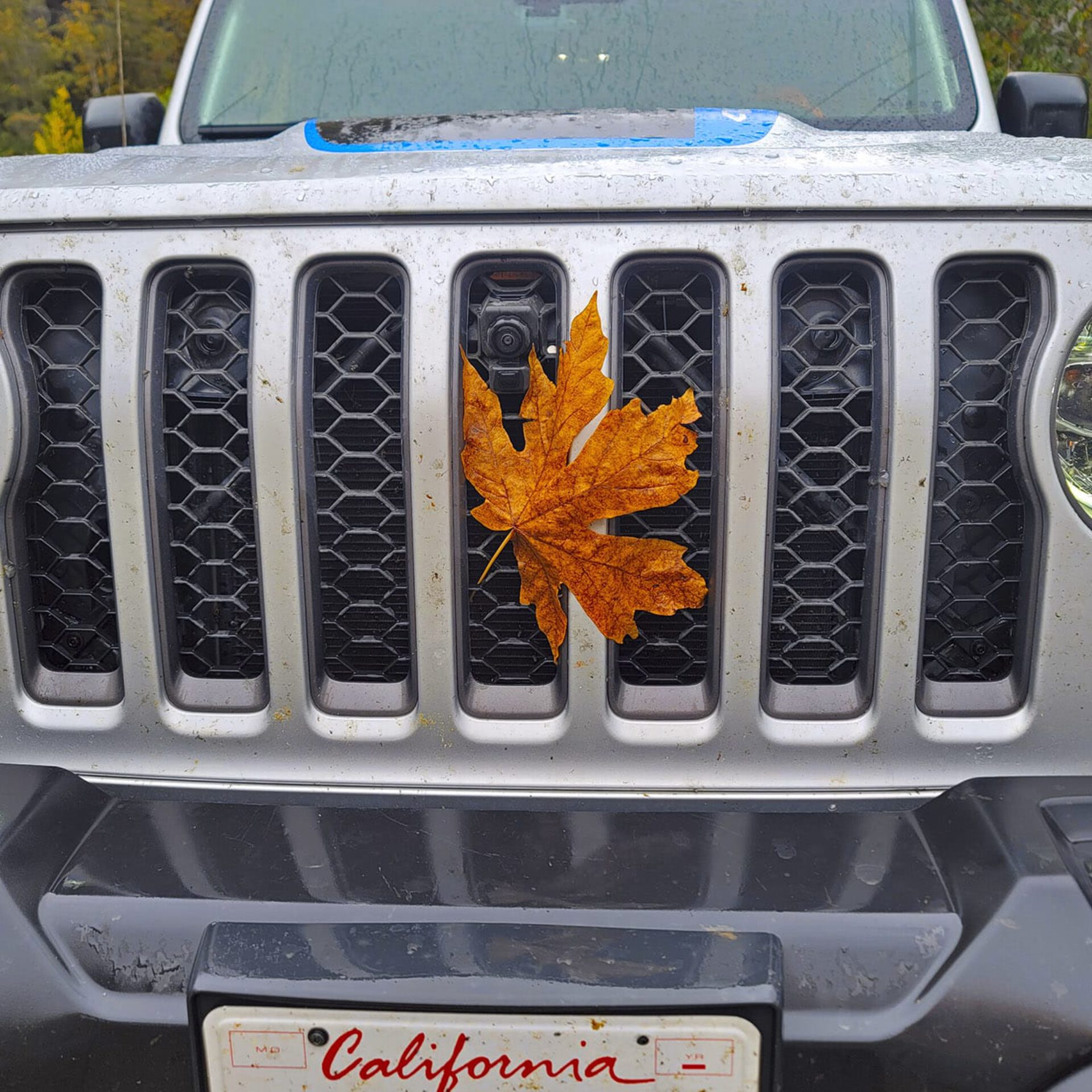 Olympic Journey – Part 3