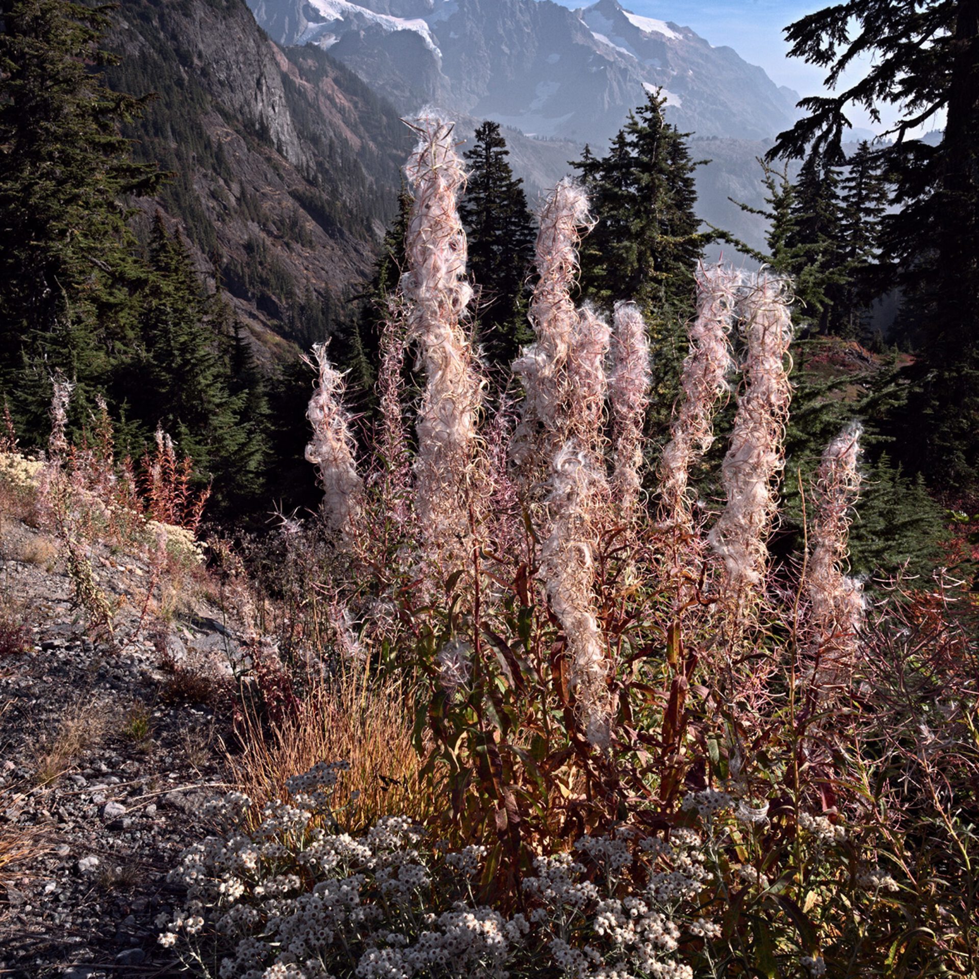 Olympic Journey – Part 4