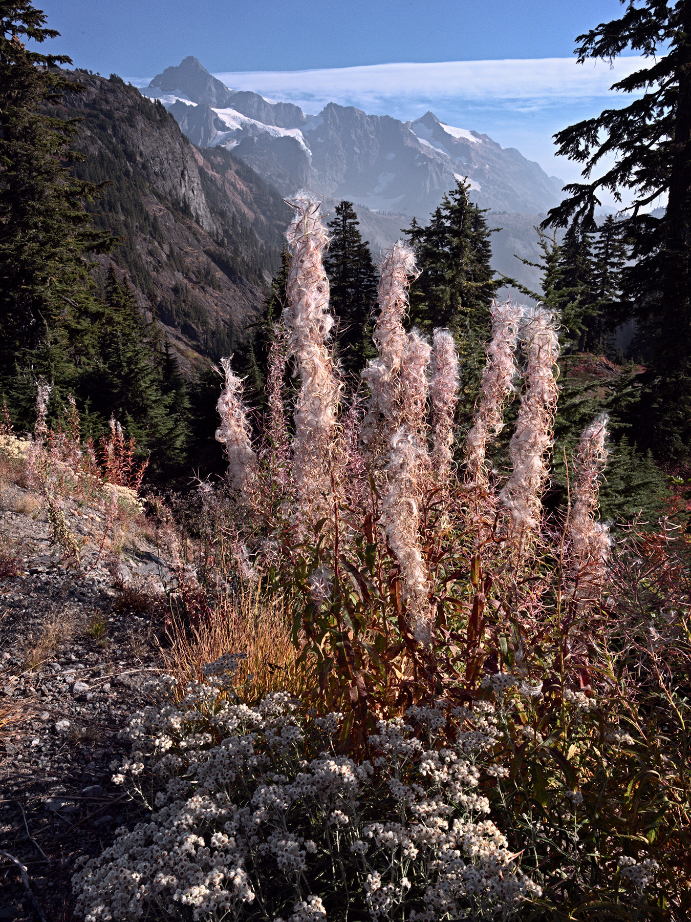 Olympic Journey – Part 4