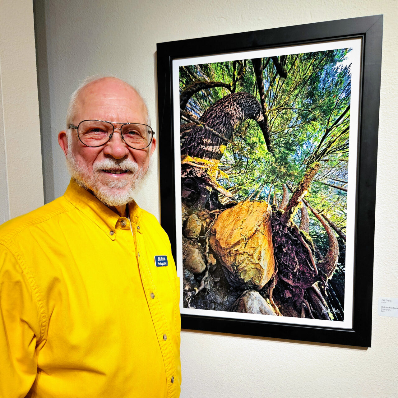 Preview exhibit at Sebastopol Center for the Arts.
